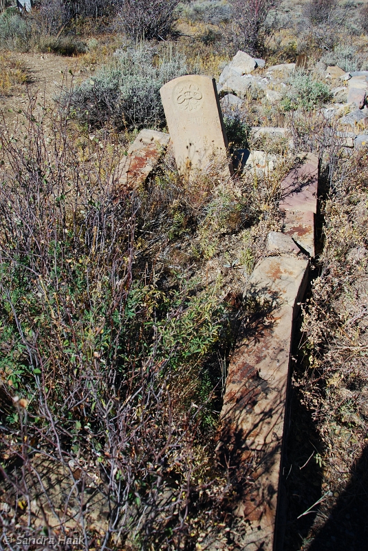 DSC_4180.JPG