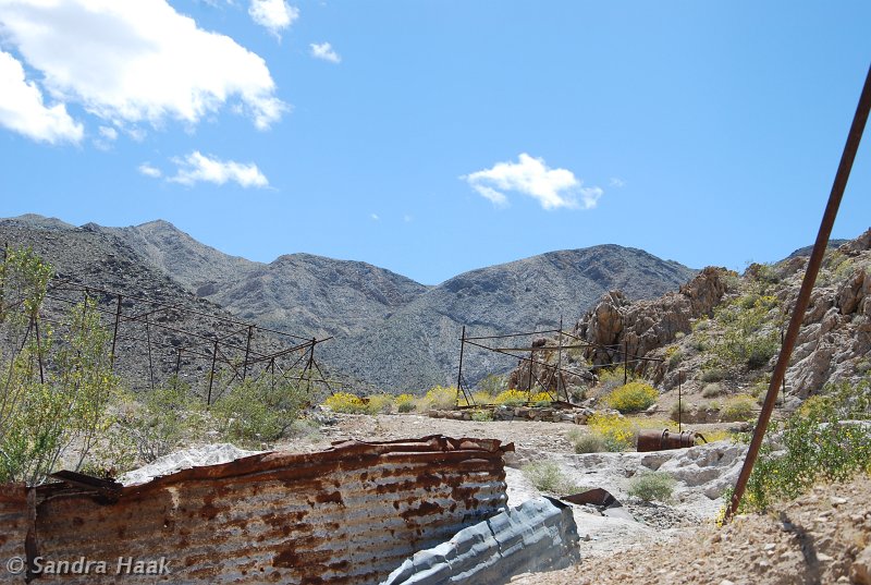 DSC_1775.JPG
