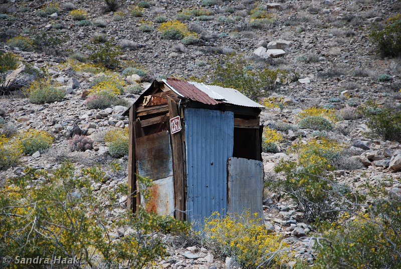 DSC_1829.JPG