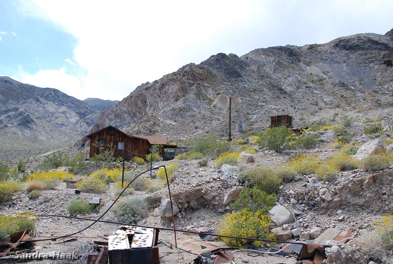 DSC_1830.JPG