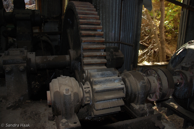 DSC_4459.JPG