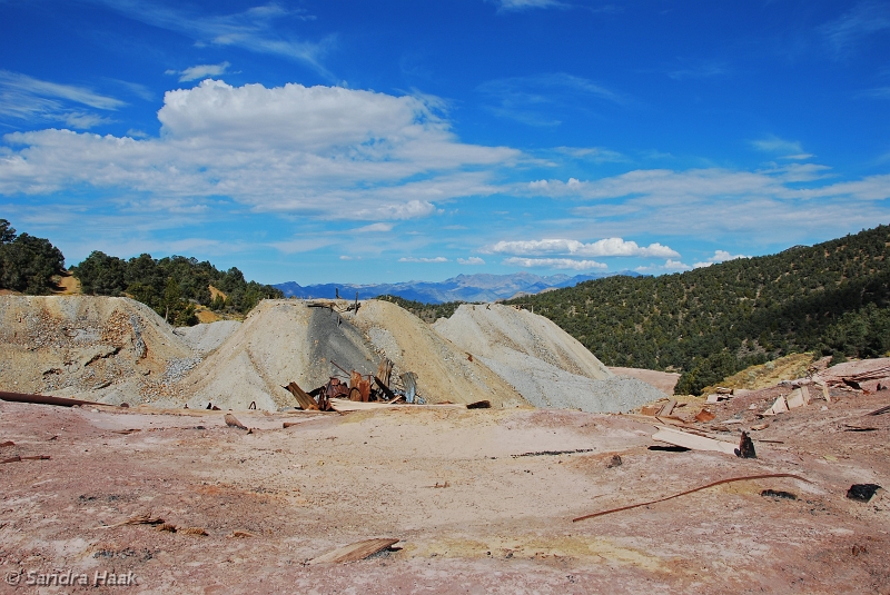 DSC_4723.JPG