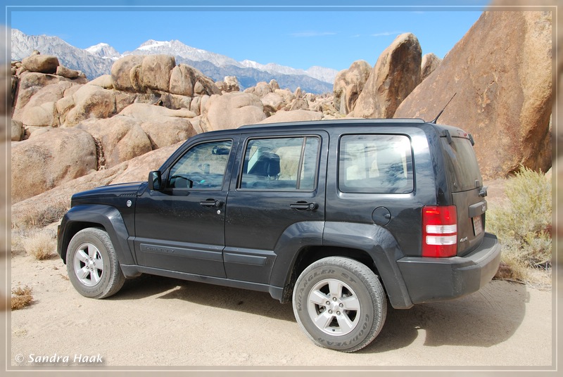comp-2011-DSC_8831.jpg