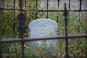 comp-DSC_9425. (11)