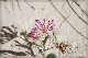 comp-DSC_0701_25
