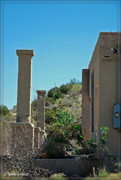 comp-DSC_5025