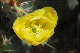comp-DSC_5497