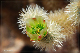 comp-DSC_5973