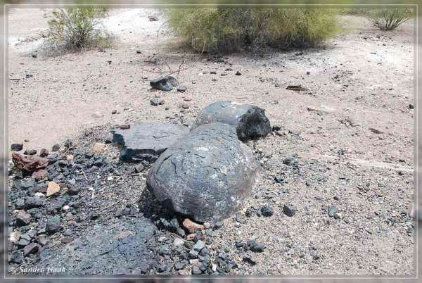 comp-DSC_6825.1.1 (58)