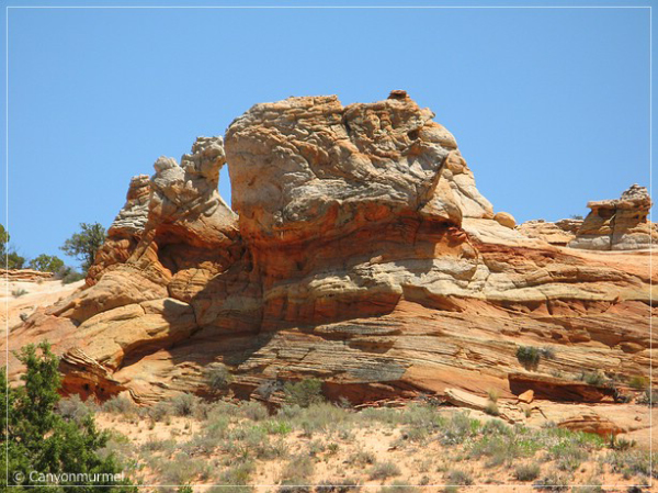 comp-IMG_3014