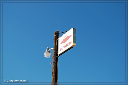 comp-DSC_3860
