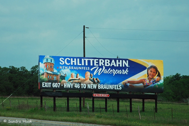 comp-2013-DSC_0364