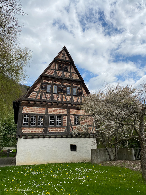 IMG_8716.jpg