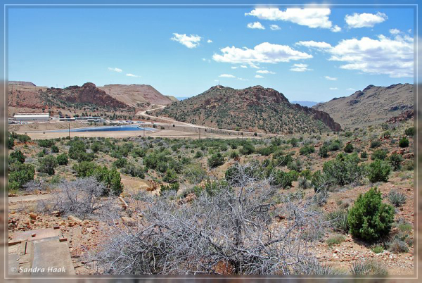 comp-DSC_6909.1 (11)