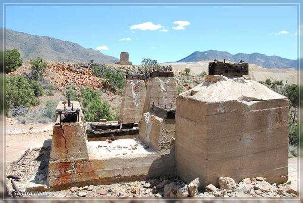 comp-DSC_6909.1 (13)