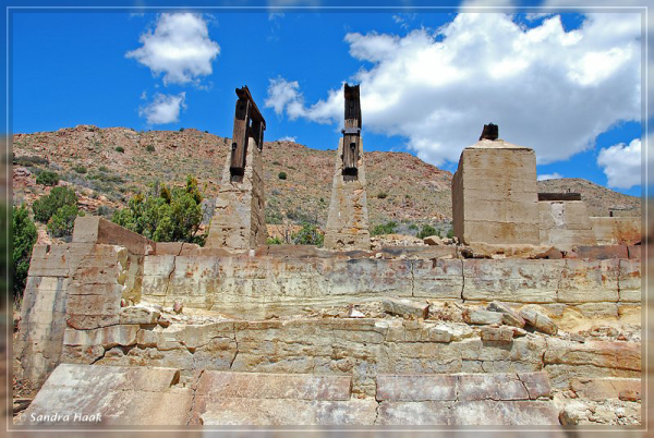 comp-DSC_6909.1 (15)