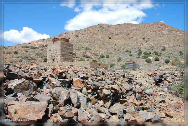 comp-DSC_6909.1 (16)