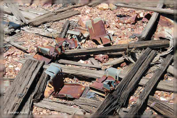 comp-DSC_6909.1 (20)