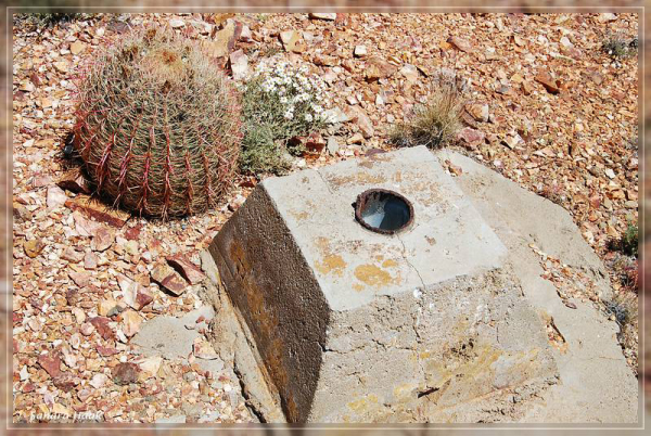 comp-DSC_6909.1 (23)