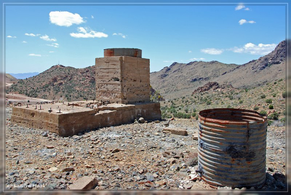 comp-DSC_6909.1 (25)