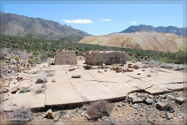 comp-DSC_6909.1 (26)